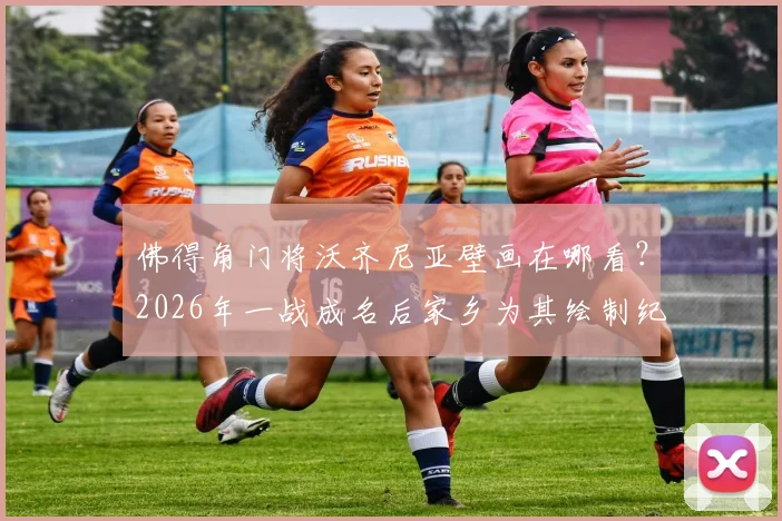 佛得角门将沃齐尼亚壁画在哪看？2026年一战成名后家乡为其绘制纪念壁画